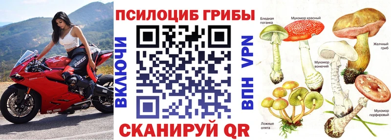 Купить  Мглин  Псилоцибиновые грибы Magic Shrooms 